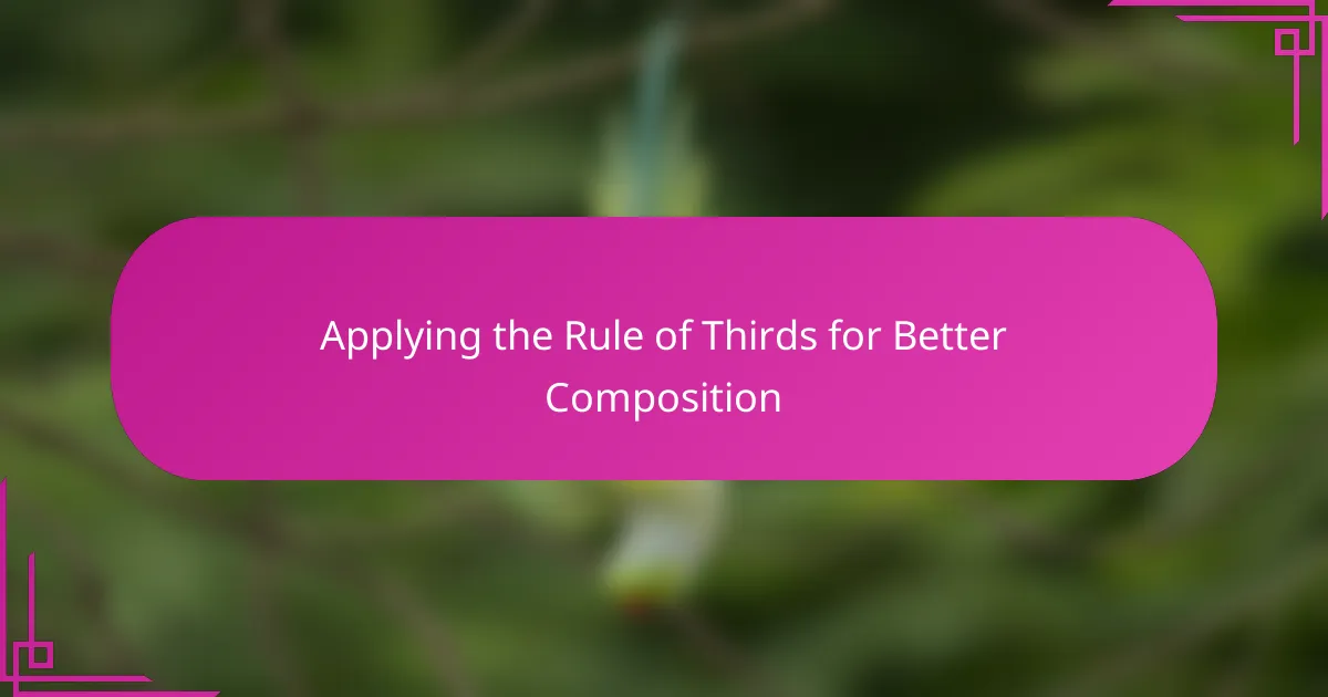 Applying the Rule of Thirds for Better Composition