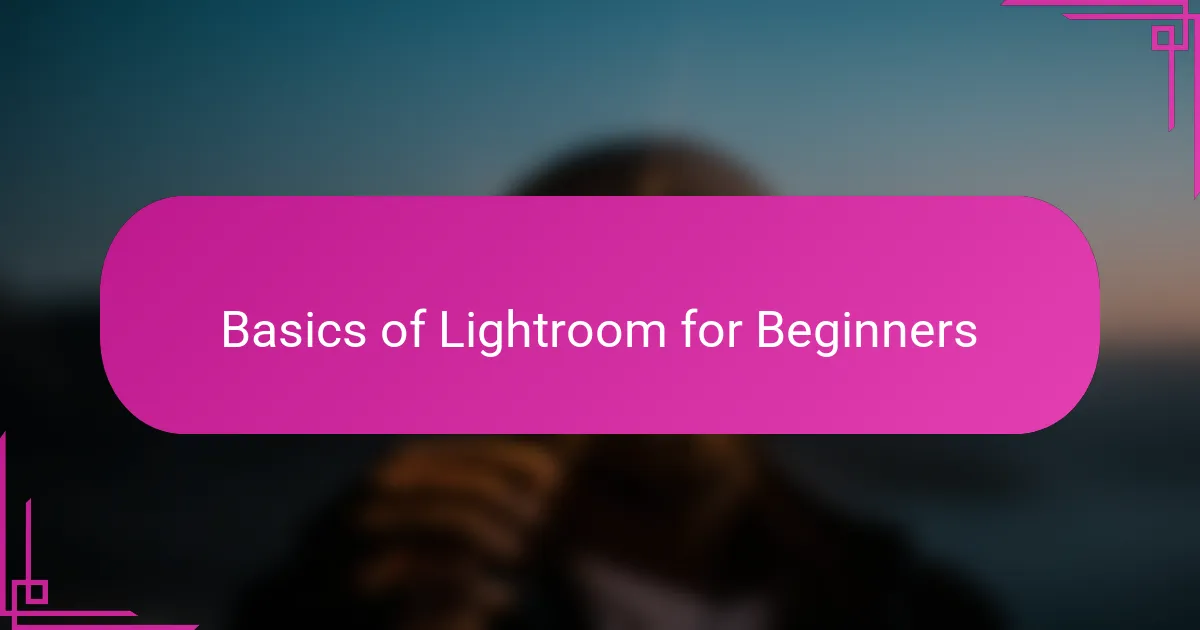Basics of Lightroom for Beginners