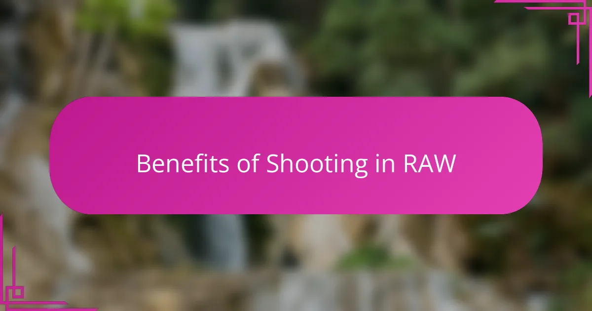 Benefits of Shooting in RAW