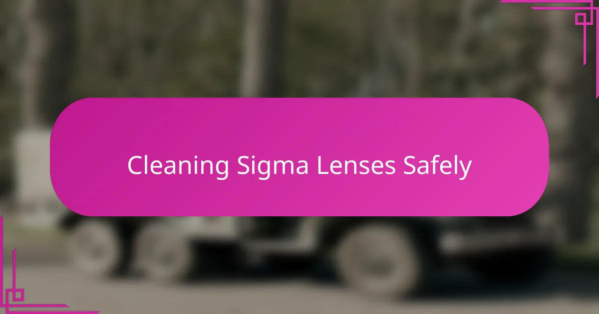Cleaning Sigma Lenses Safely
