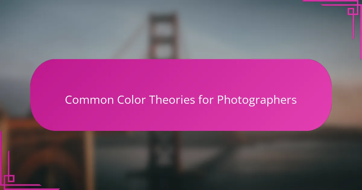 Common Color Theories for Photographers