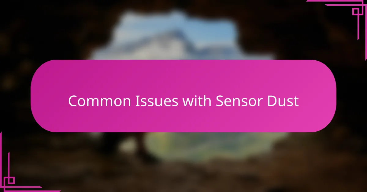 Common Issues with Sensor Dust