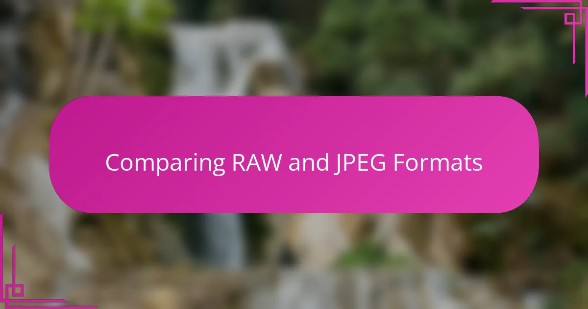 Comparing RAW and JPEG Formats