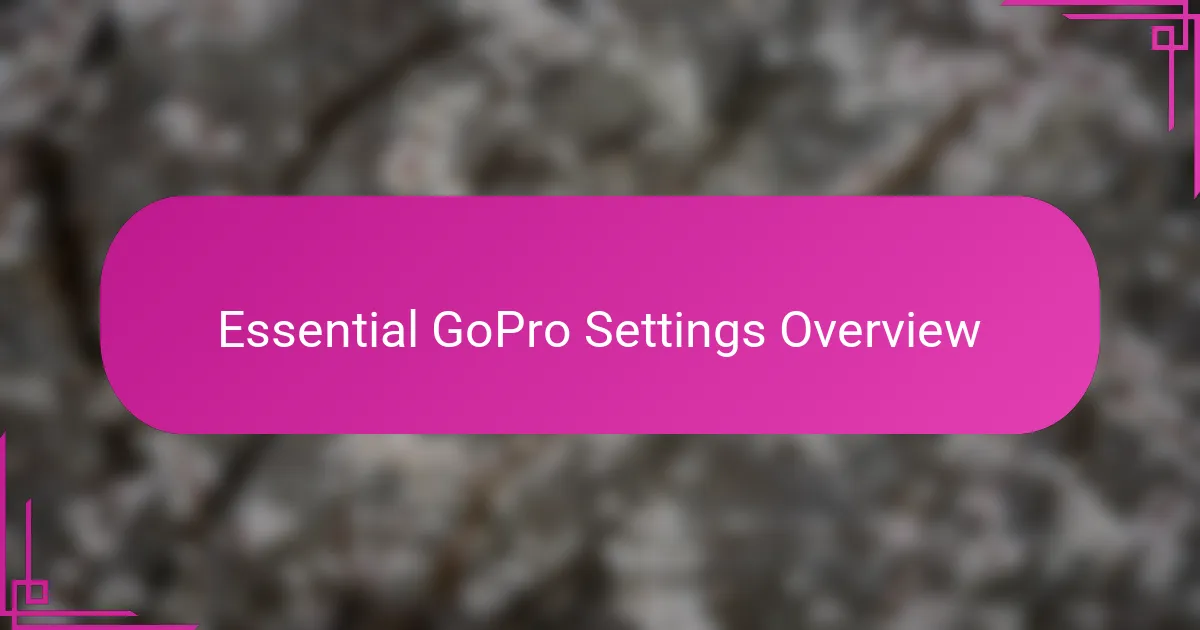 Essential GoPro Settings Overview