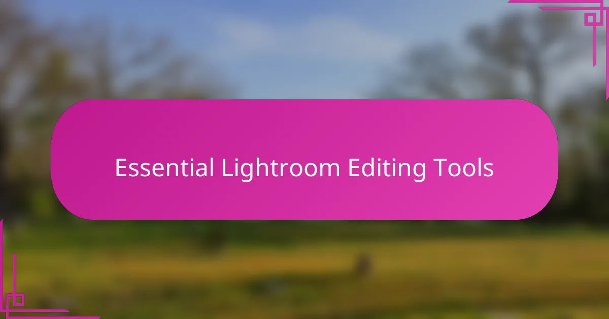 Essential Lightroom Editing Tools