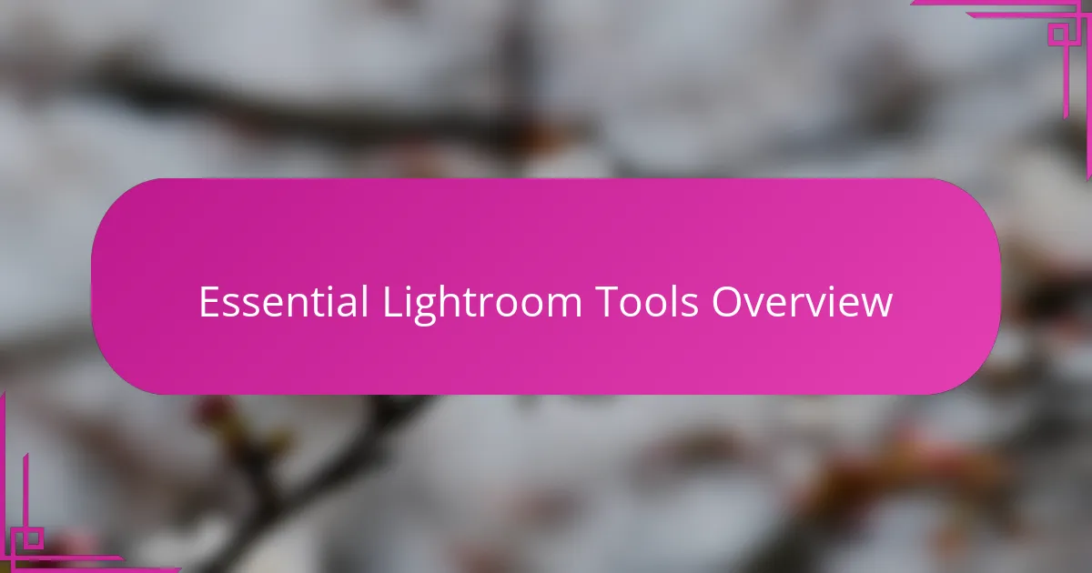 Essential Lightroom Tools Overview