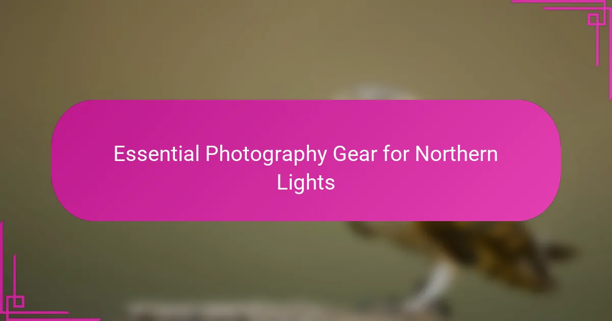 Essential Photography Gear for Northern Lights