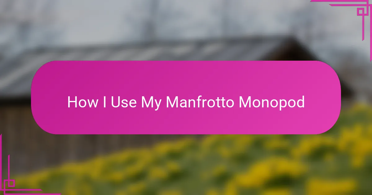 How I Use My Manfrotto Monopod