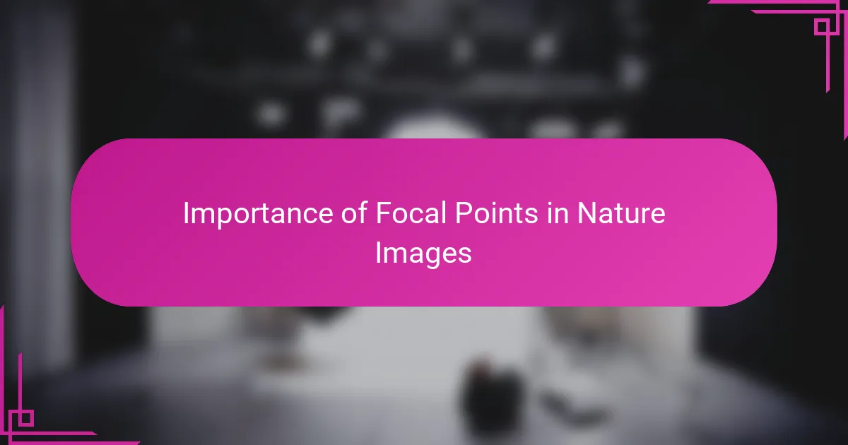 Importance of Focal Points in Nature Images