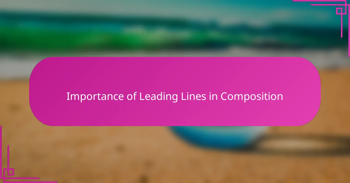 Importance of Leading Lines in Composition