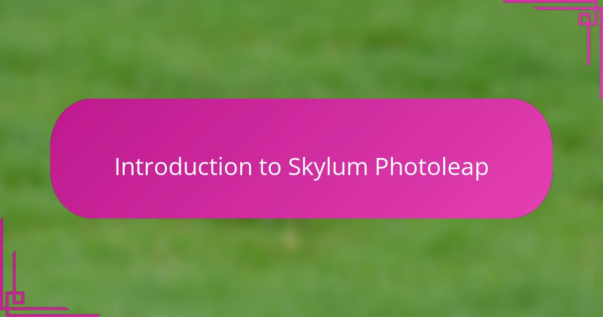 Introduction to Skylum Photoleap