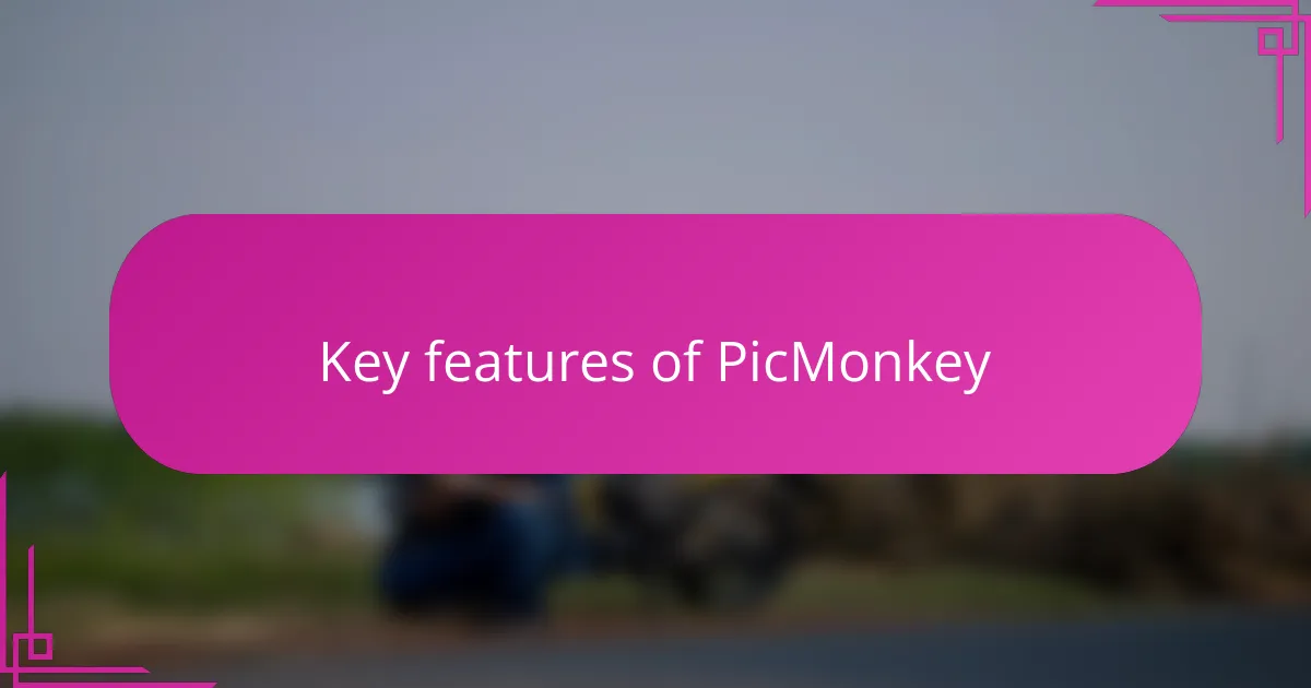 Key features of PicMonkey