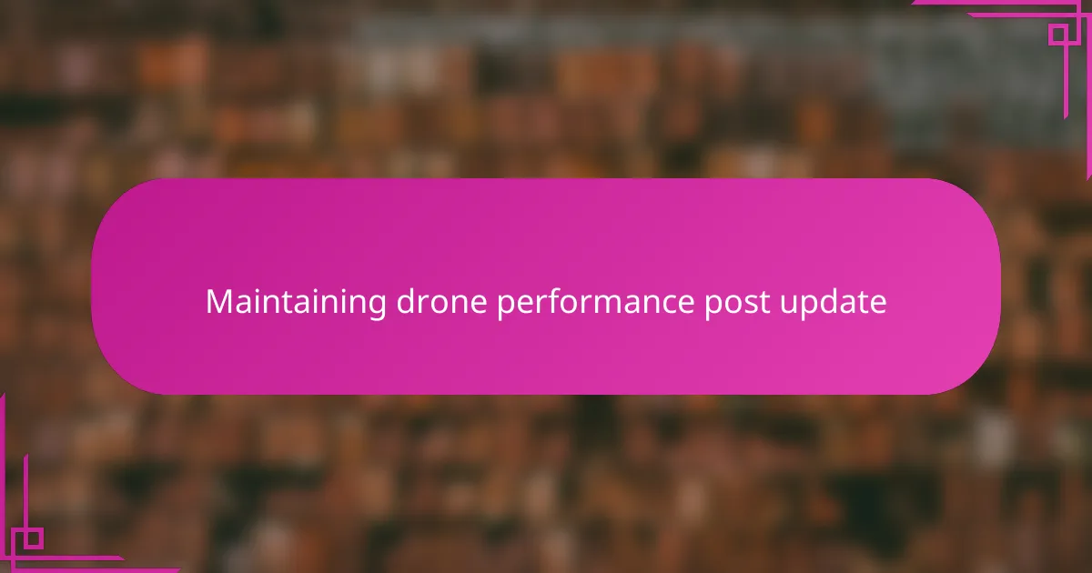 Maintaining drone performance post update
