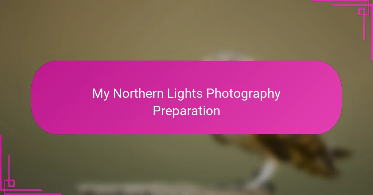 My Northern Lights Photography Preparation