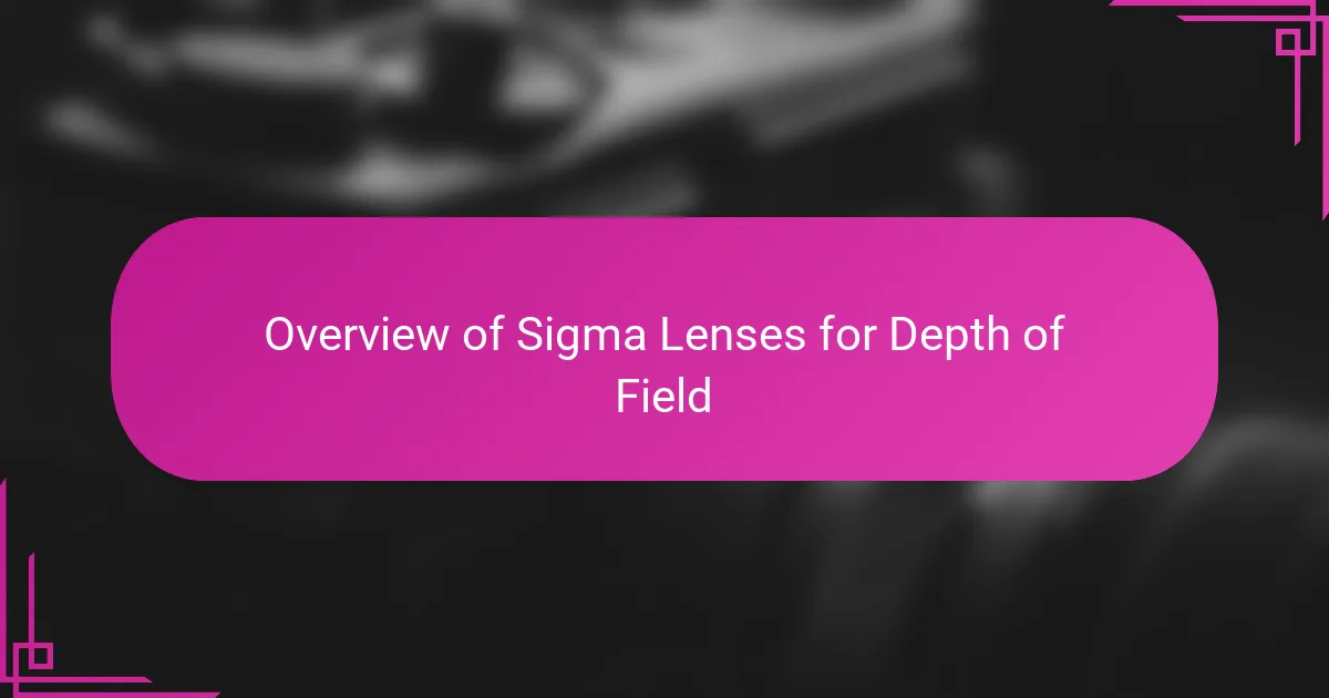 Overview of Sigma Lenses for Depth of Field