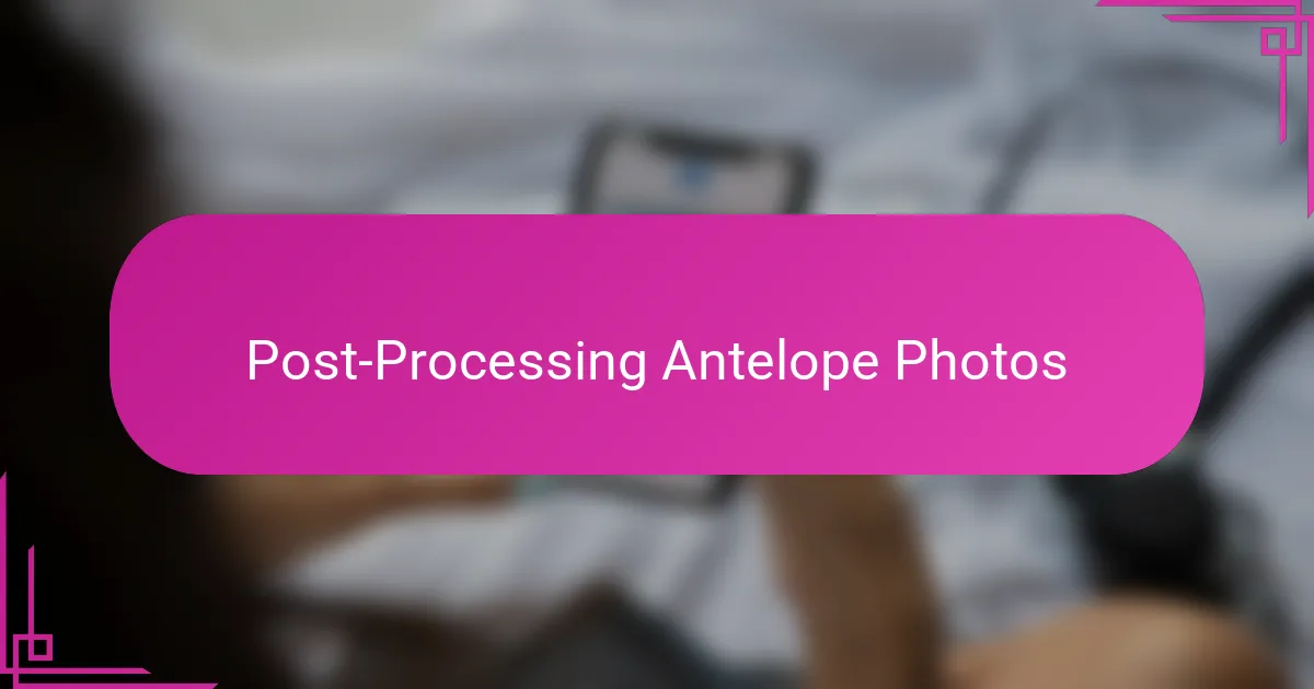 Post-Processing Antelope Photos