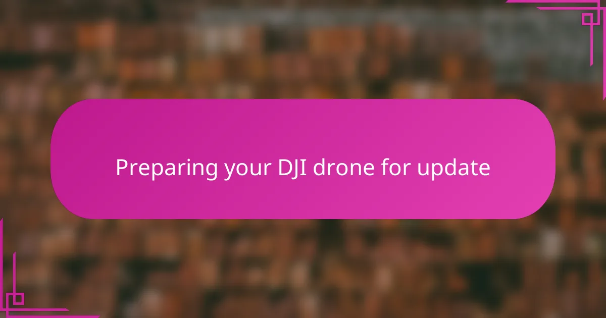 Preparing your DJI drone for update