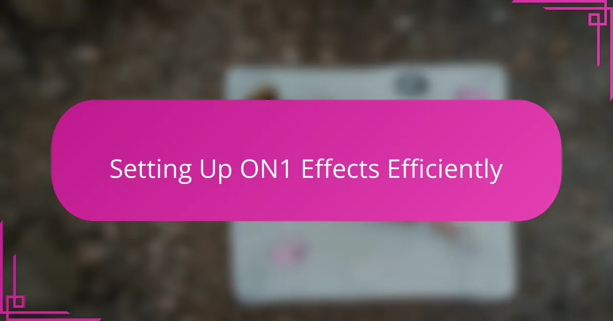 Setting Up ON1 Effects Efficiently