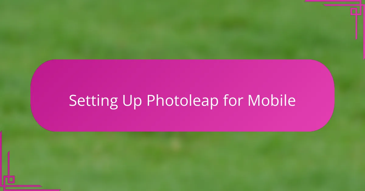 Setting Up Photoleap for Mobile
