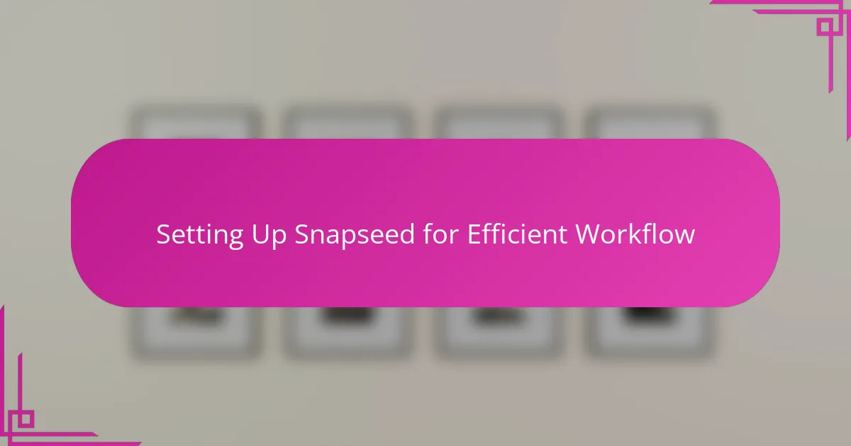 Setting Up Snapseed for Efficient Workflow
