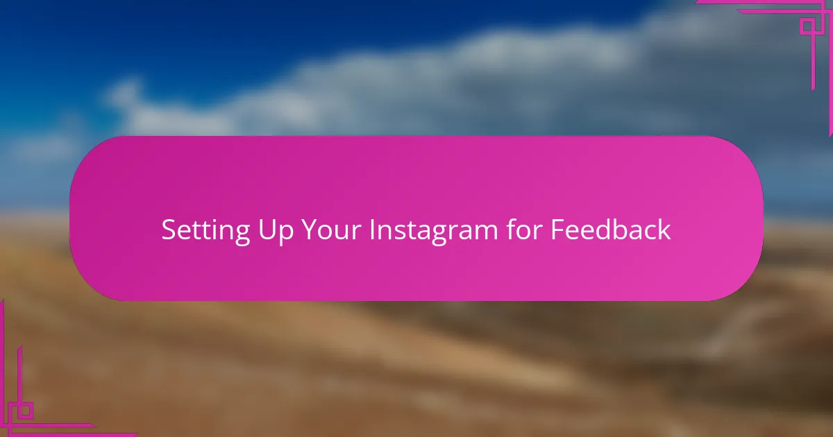 Setting Up Your Instagram for Feedback