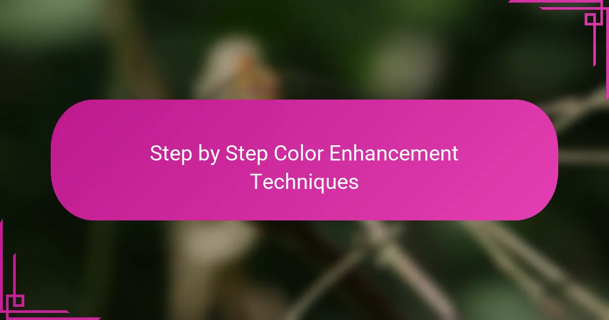 Step by Step Color Enhancement Techniques