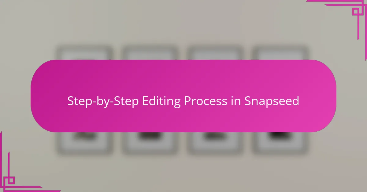 Step-by-Step Editing Process in Snapseed