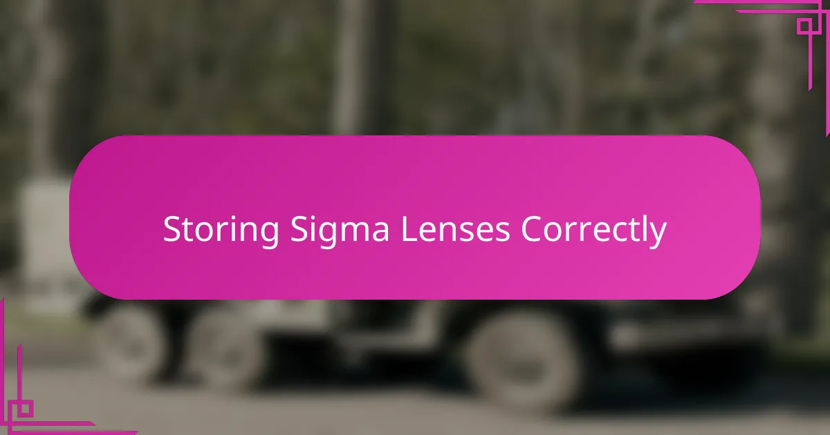Storing Sigma Lenses Correctly