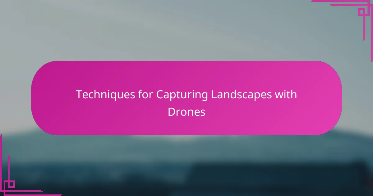 Techniques for Capturing Landscapes with Drones
