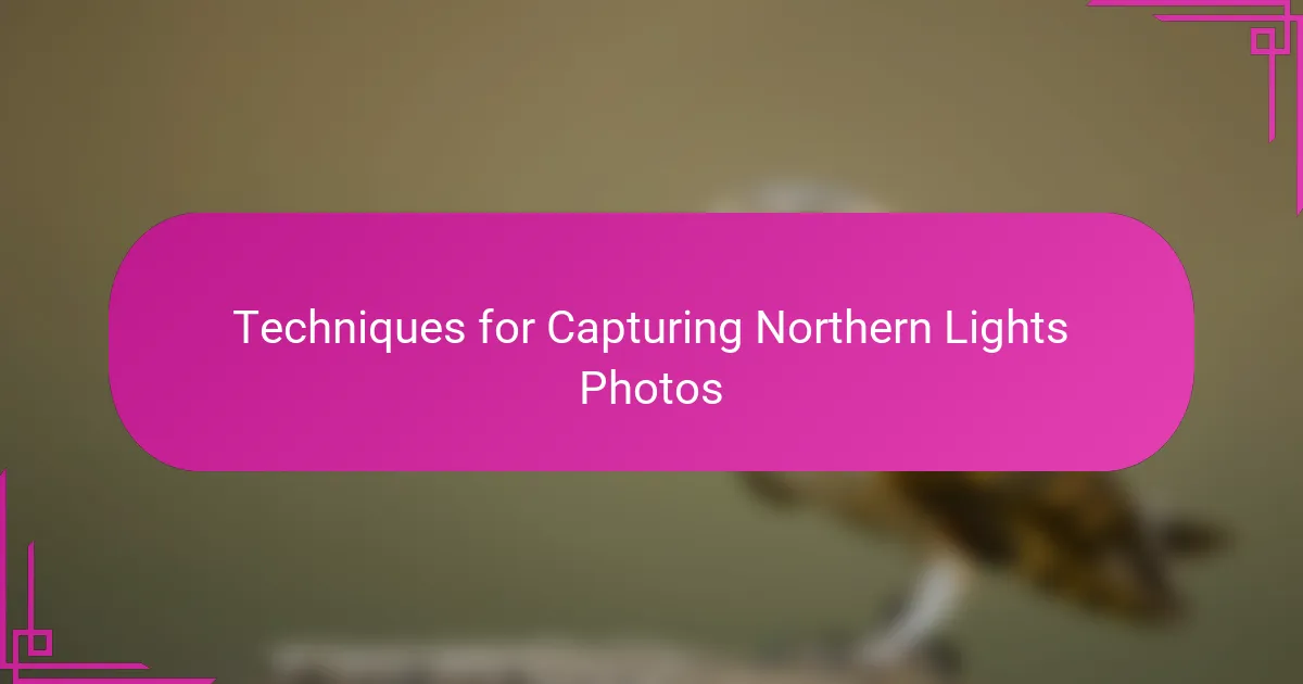 Techniques for Capturing Northern Lights Photos