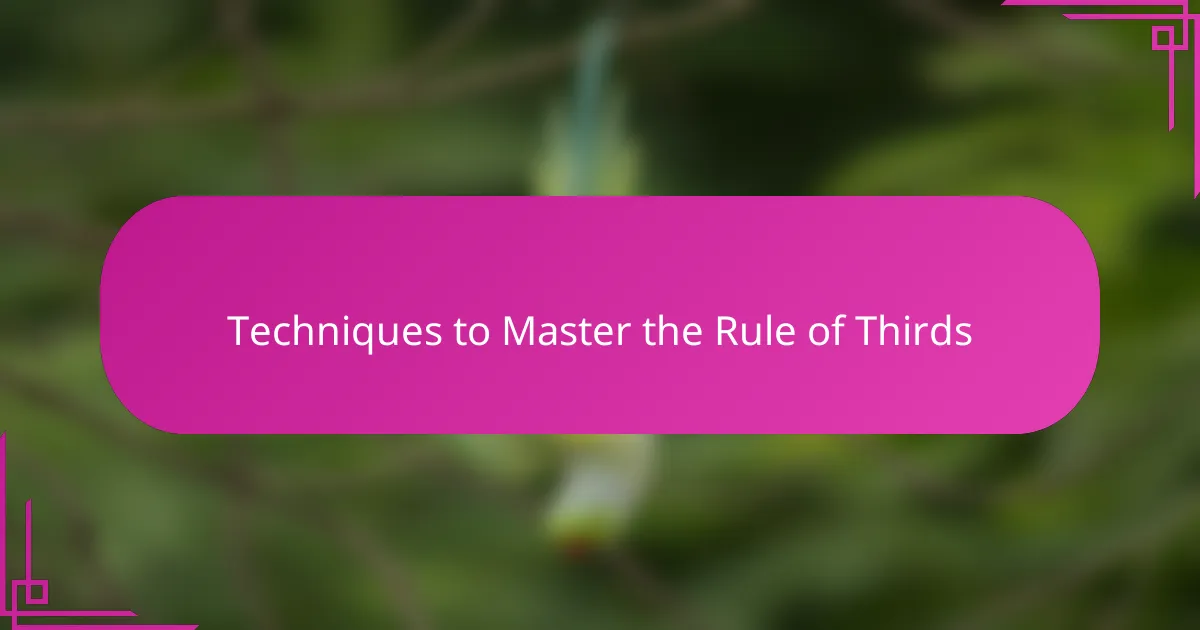 Techniques to Master the Rule of Thirds