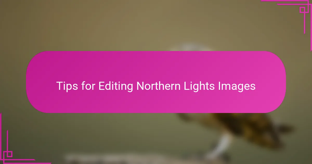 Tips for Editing Northern Lights Images