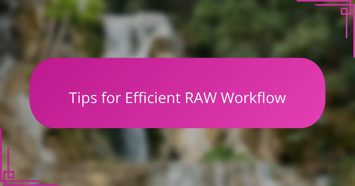 Tips for Efficient RAW Workflow