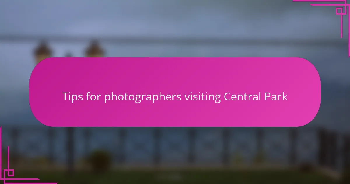 Tips for photographers visiting Central Park