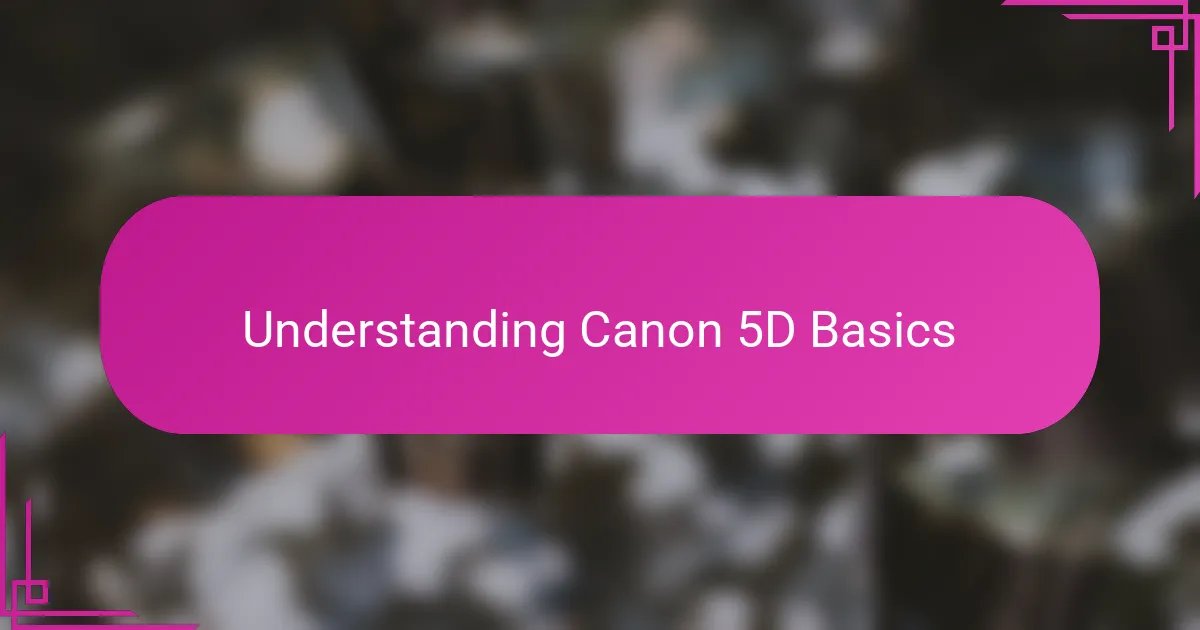Understanding Canon 5D Basics