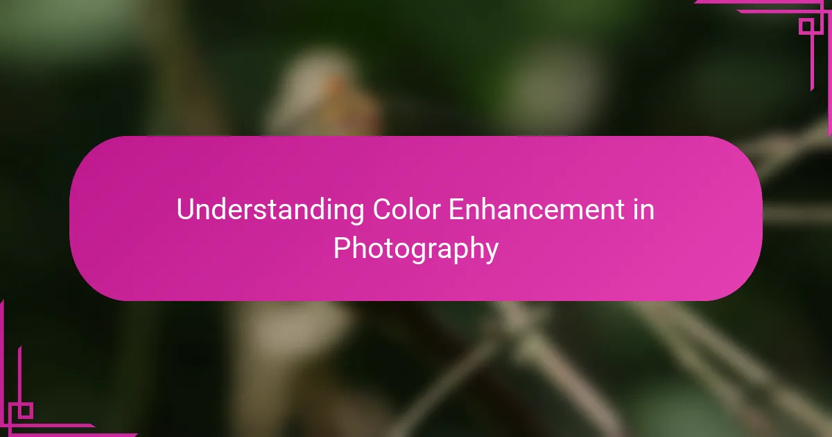 Understanding Color Enhancement in Photography