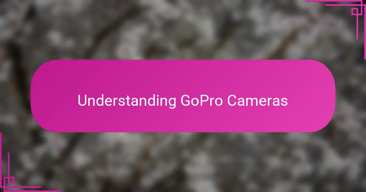 Understanding GoPro Cameras