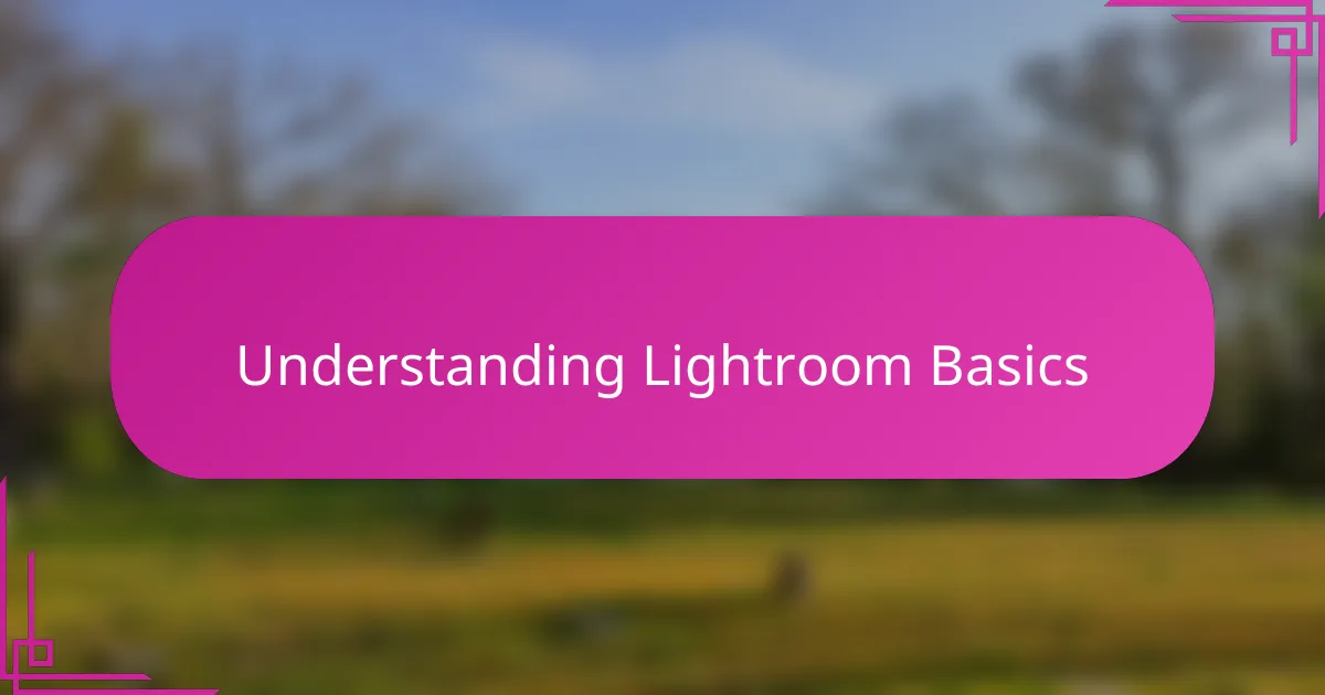 Understanding Lightroom Basics