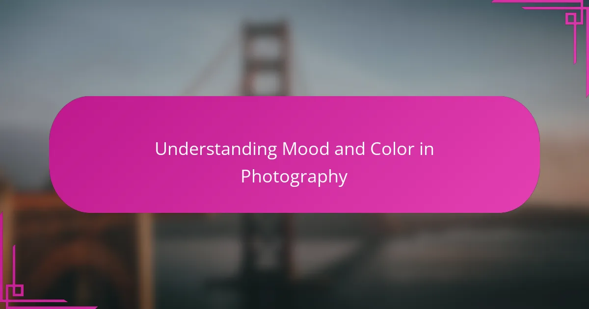 Understanding Mood and Color in Photography