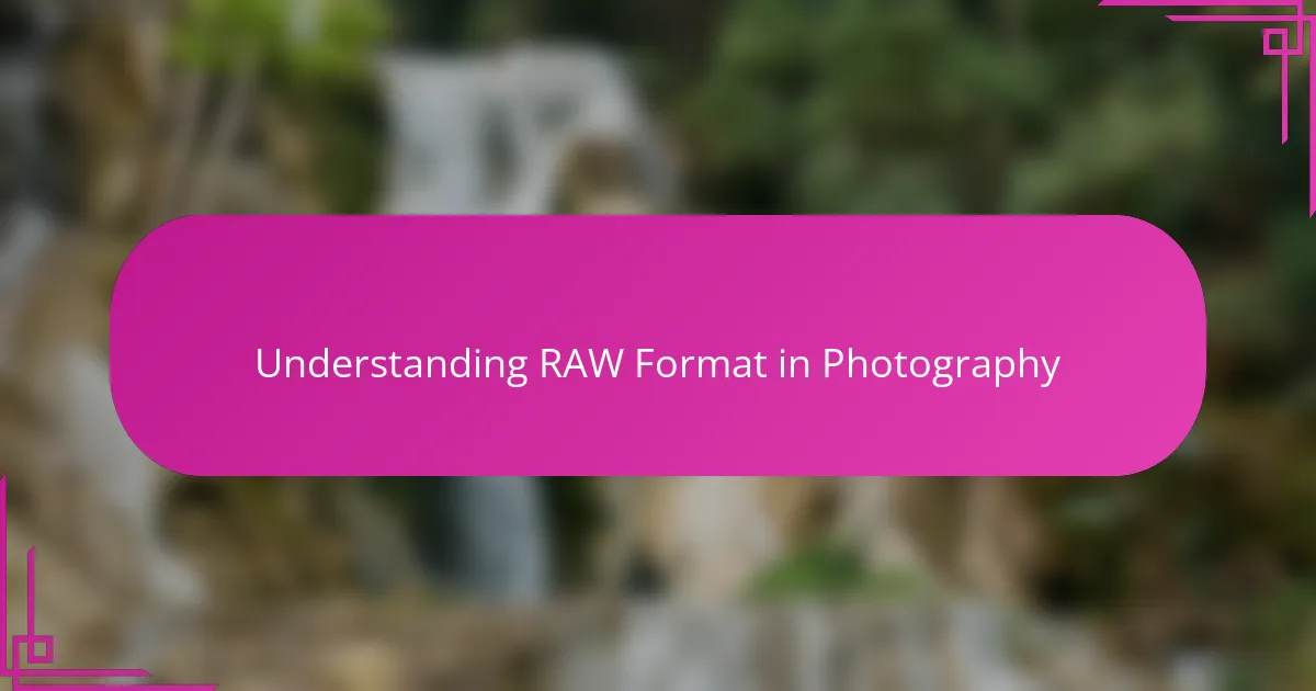 Understanding RAW Format in Photography