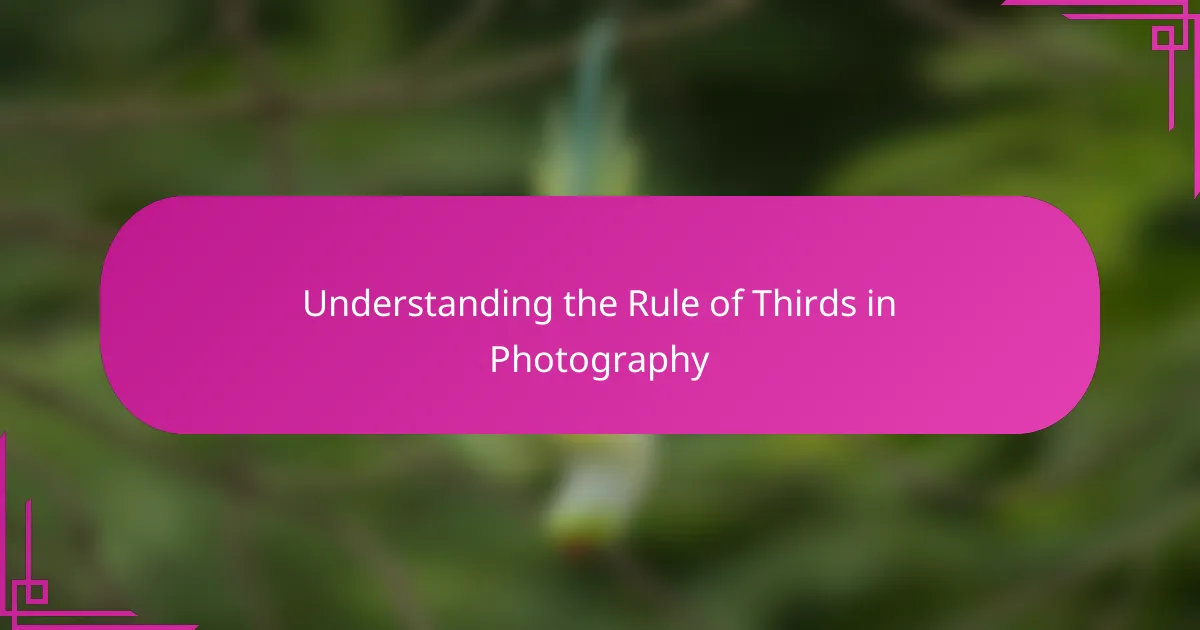 Understanding the Rule of Thirds in Photography