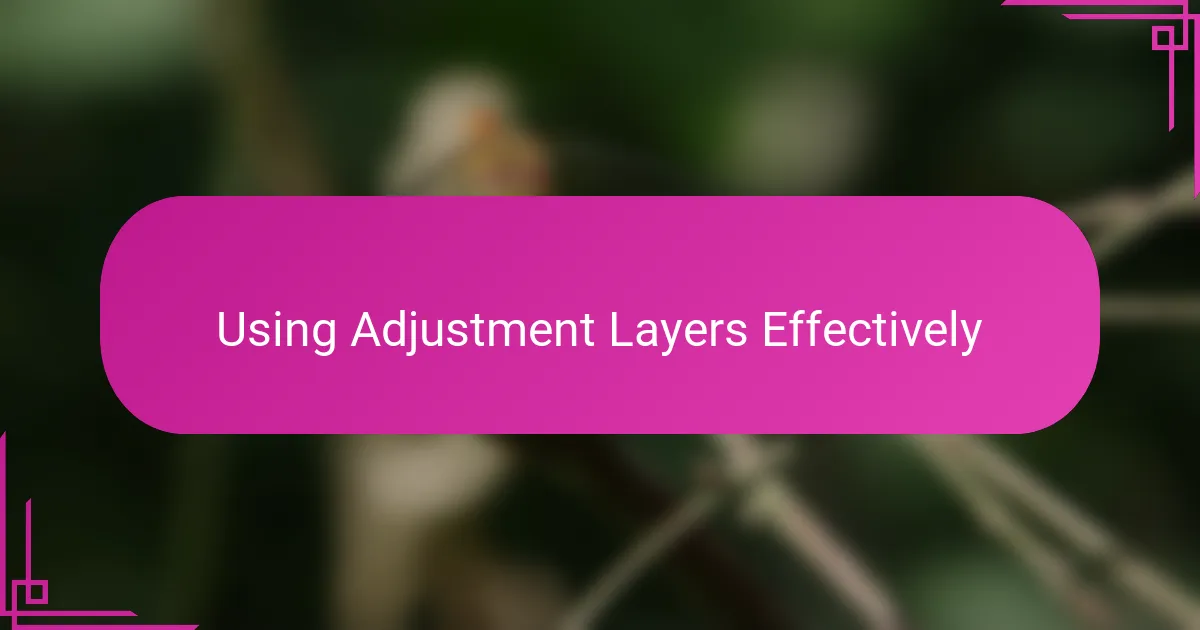 Using Adjustment Layers Effectively